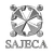 Logo Sajeca